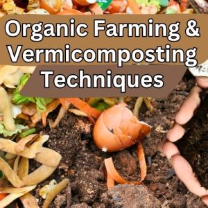 Organic Farming & Vermicomposting Techniques