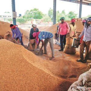 Paddy Procurement