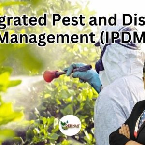 Integrated Pest and Disease Management (IPDM)